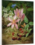 Autumn Flower with Blackberries by Josef Lauer