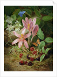 Autumn Flower with Blackberries by Josef Lauer