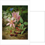 Autumn Flower with Blackberries by Josef Lauer