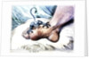 The Gout by Anonymous