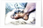 The Gout by Anonymous