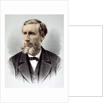 Professor John Tyndall FRS by Anonymous