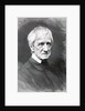 Cardinal Newman by Anonymous