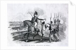 The Prince of Orange distributing his medals by Anonymous