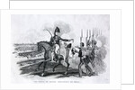 The Prince of Orange distributing his medals by Anonymous