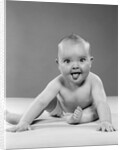 1950s portrait of baby sitting and sticking tongue out looking at camera by Anonymous