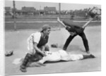 1950s little league umpire calling safe player sliding into home plate by Anonymous
