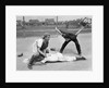 1950s little league umpire calling safe player sliding into home plate by Anonymous