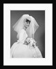 1960s bride portrait in wedding dress veil bridal bouquet by Anonymous