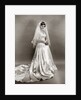 1950s full length portrait bride standing wearing satin and lace wedding gown veil and tiara looking at camera by Anonymous