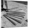 1950s baseball player selecting from a variety of bats by Anonymous