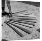 1950s baseball player selecting from a variety of bats by Anonymous