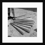 1950s baseball player selecting from a variety of bats by Anonymous
