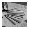 1950s baseball player selecting from a variety of bats by Anonymous