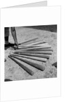 1950s baseball player selecting from a variety of bats by Anonymous