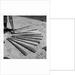 1950s baseball player selecting from a variety of bats by Anonymous
