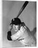 1950s portrait baseball player batting at bat looking at camera by Anonymous