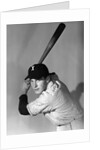 1950s portrait baseball player batting at bat looking at camera by Anonymous