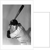1950s portrait baseball player batting at bat looking at camera by Anonymous