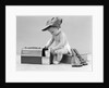 1940s baby in railroad engineer hat pulling milk bottle from lunch pail with hammer & wrench tools at side studio by Anonymous