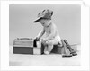 1940s baby in railroad engineer hat pulling milk bottle from lunch pail with hammer & wrench tools at side studio by Anonymous