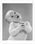1950s baby in diaper head to one side arms hands clasped in front by Anonymous