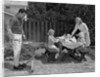1960s man on patio grilling steak with 2 daughters seated at picnic table & wife standing serving food by Anonymous