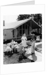 1950s family grilling hamburgers beside pool in backyard cookout by Anonymous