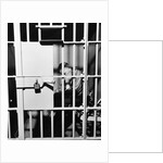 1960s man seated on bench in jail cell with head in hand looking downward by Anonymous