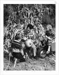 1950s boy & girl sitting in front of corn stalks watching father carve pumpkin by Anonymous