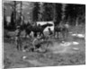 1920s group men women at rough campsite cooking fire horses campfire wilderness adventure cowboy tent canada assiniboine by Anonymous