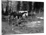 1920s group men women at rough campsite cooking fire horses campfire wilderness adventure cowboy tent canada assiniboine by Anonymous