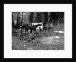 1920s group men women at rough campsite cooking fire horses campfire wilderness adventure cowboy tent canada assiniboine by Anonymous