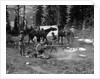 1920s group men women at rough campsite cooking fire horses campfire wilderness adventure cowboy tent canada assiniboine by Anonymous