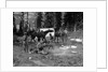 1920s group men women at rough campsite cooking fire horses campfire wilderness adventure cowboy tent canada assiniboine by Anonymous