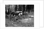 1920s group men women at rough campsite cooking fire horses campfire wilderness adventure cowboy tent canada assiniboine by Anonymous