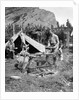 1920s 1930s two men and one woman eating a meal around a campfire with a tent and horses at baker lake alberta canada by Anonymous
