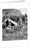 1920s 1930s two men and one woman eating a meal around a campfire with a tent and horses at baker lake alberta canada by Anonymous