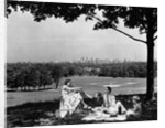 1930s 1940s family picnicking under a tree in fairmont park with skyline of philadelphia pa on horizon by Anonymous