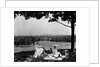 1930s 1940s family picnicking under a tree in fairmont park with skyline of philadelphia pa on horizon by Anonymous
