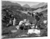 1920s 1930s three men cowboys at campsite preparing food horses in background alberta canada by Anonymous