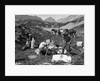 1920s 1930s three men cowboys at campsite preparing food horses in background alberta canada by Anonymous