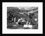 1920s 1930s three men cowboys at campsite preparing food horses in background alberta canada by Anonymous