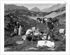 1920s 1930s three men cowboys at campsite preparing food horses in background alberta canada by Anonymous
