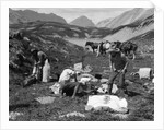 1920s 1930s three men cowboys at campsite preparing food horses in background alberta canada by Anonymous