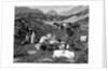 1920s 1930s three men cowboys at campsite preparing food horses in background alberta canada by Anonymous