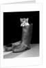 1950s puss in boots cute kitten climbing out of man's boot looking at camera by Anonymous