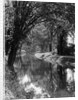 1920s 1930s water in section of abandoned delaware canal reflecting trees lining its banks by Anonymous