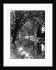 1920s 1930s water in section of abandoned delaware canal reflecting trees lining its banks by Anonymous