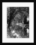 1920s 1930s water in section of abandoned delaware canal reflecting trees lining its banks by Anonymous